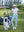 Model on course holding club and bag in Women's 7/8 ankle golf track pants, light blue